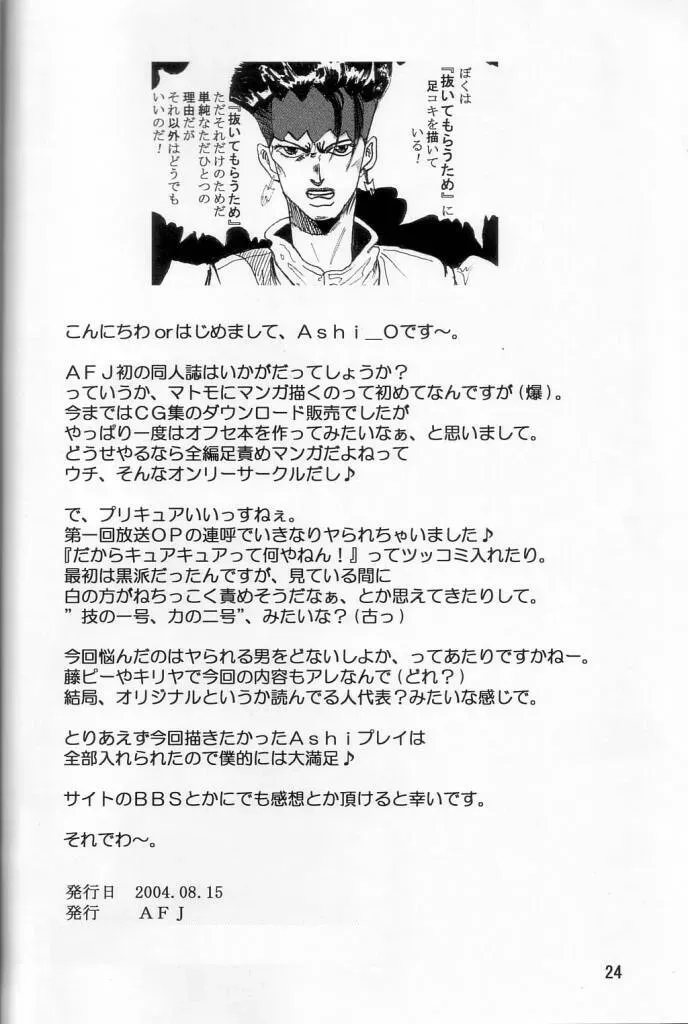 Futari wa Zuri Cure (Futari wa Precure) – Anime (C66) AFJ - Page 25