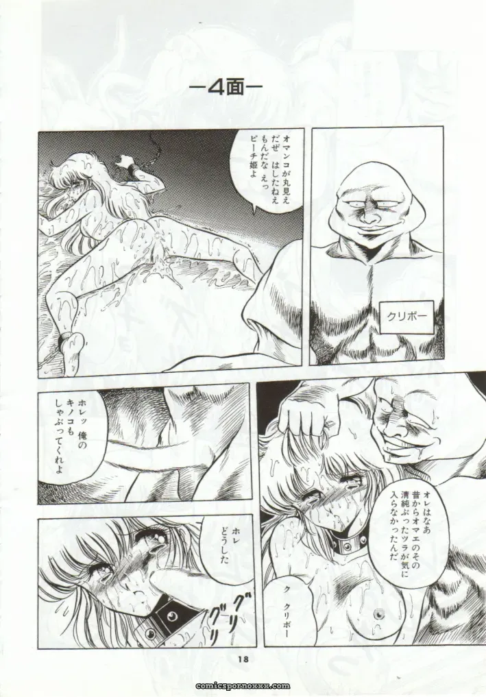 Super Mario Collection (CR15) – Circle Taihei-Tengoku - Page 15