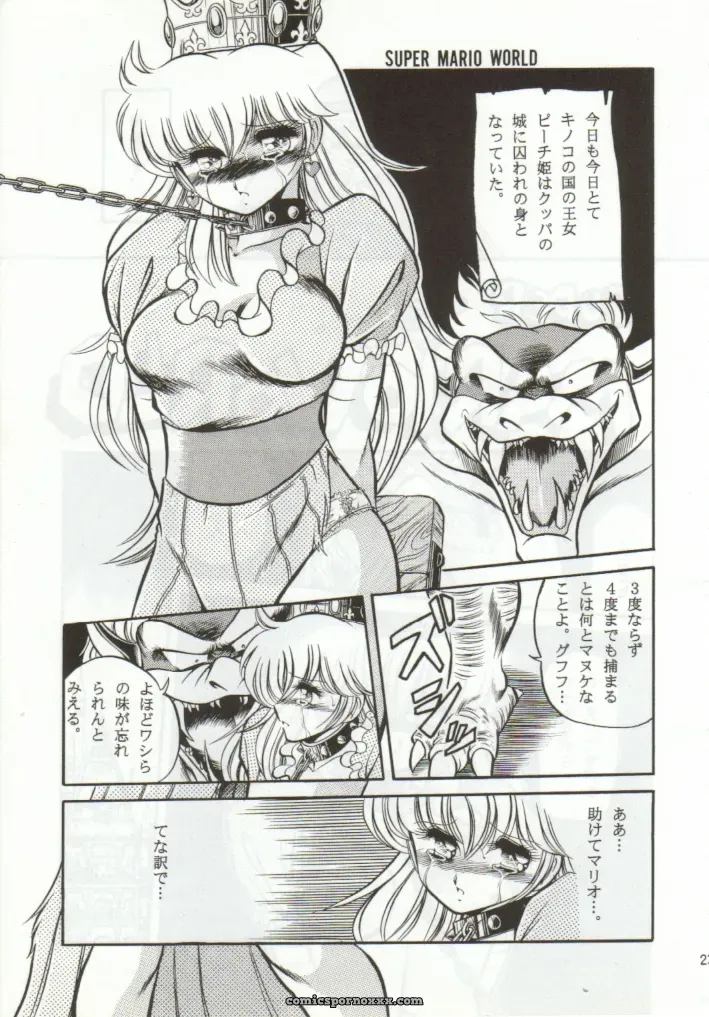 Super Mario Collection (CR15) – Circle Taihei-Tengoku - Page 20