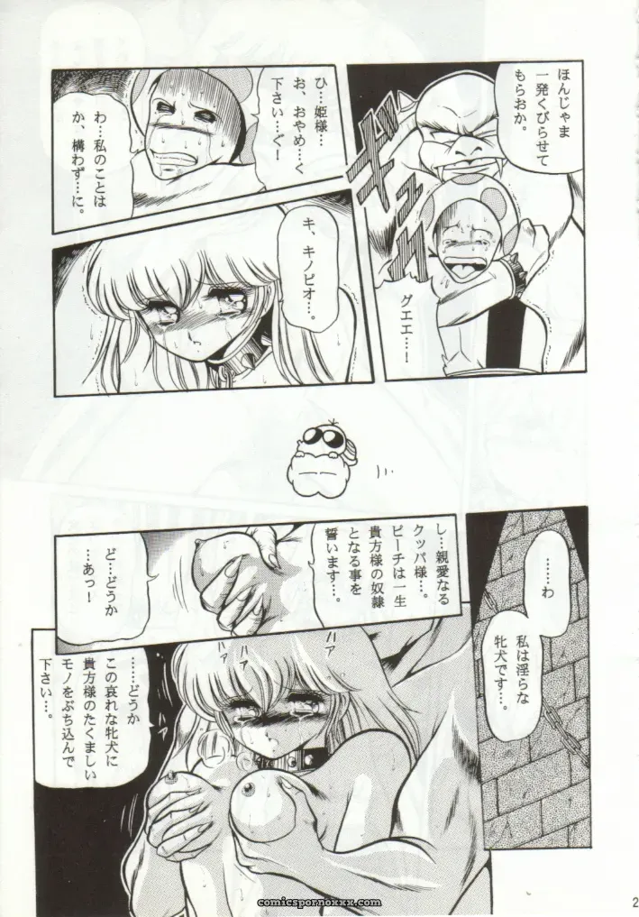 Super Mario Collection (CR15) – Circle Taihei-Tengoku - Page 24