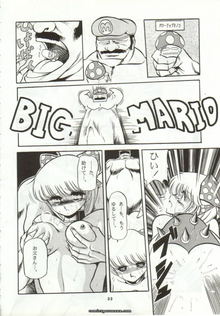 Super Mario Collection (CR15) – Circle Taihei-Tengoku - Page 29