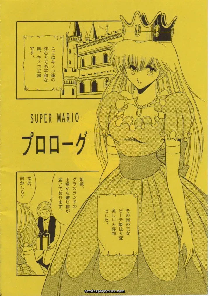 Super Mario Collection (CR15) – Circle Taihei-Tengoku - Page 3