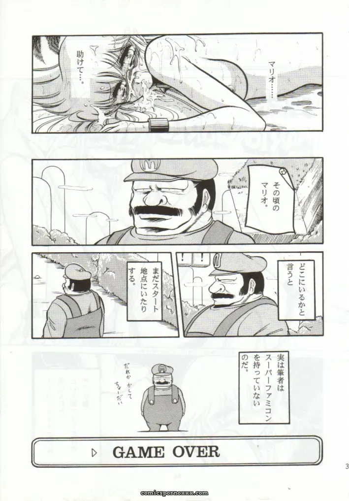 Super Mario Collection (CR15) – Circle Taihei-Tengoku - Page 32