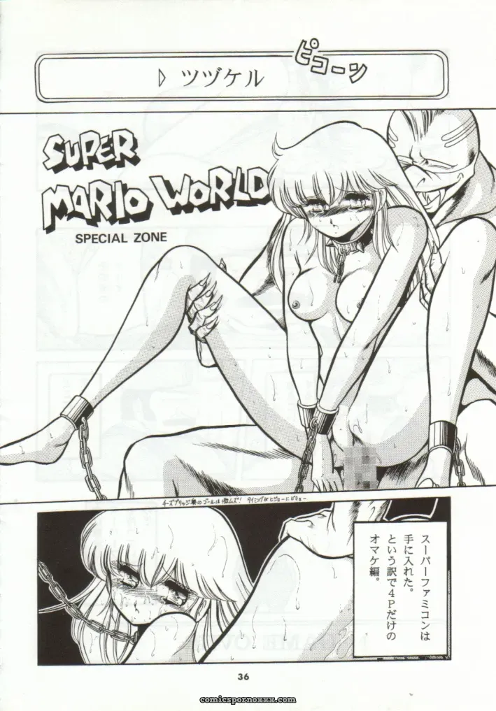 Super Mario Collection (CR15) – Circle Taihei-Tengoku - Page 33