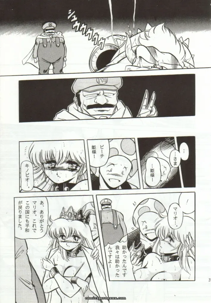 Super Mario Collection (CR15) – Circle Taihei-Tengoku - Page 34