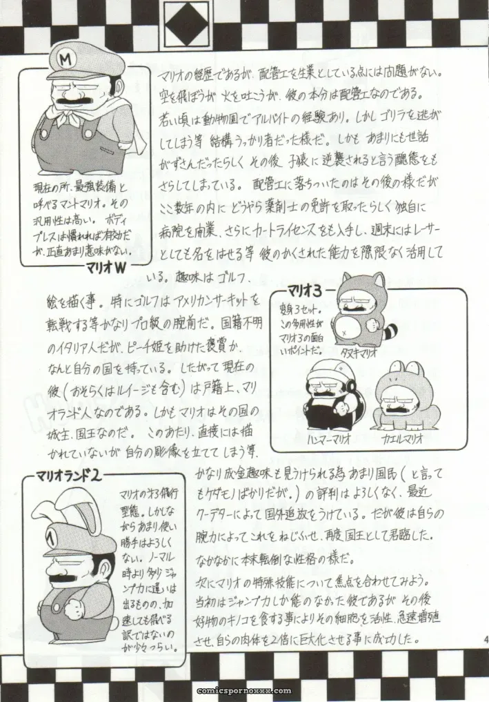 Super Mario Collection (CR15) – Circle Taihei-Tengoku - Page 38
