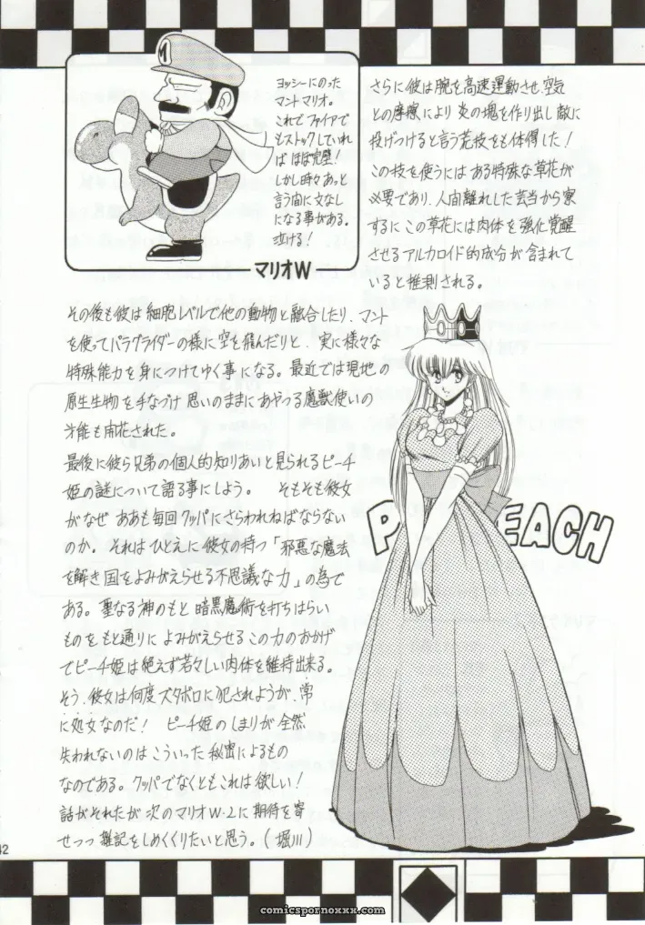 Super Mario Collection (CR15) – Circle Taihei-Tengoku - Page 39