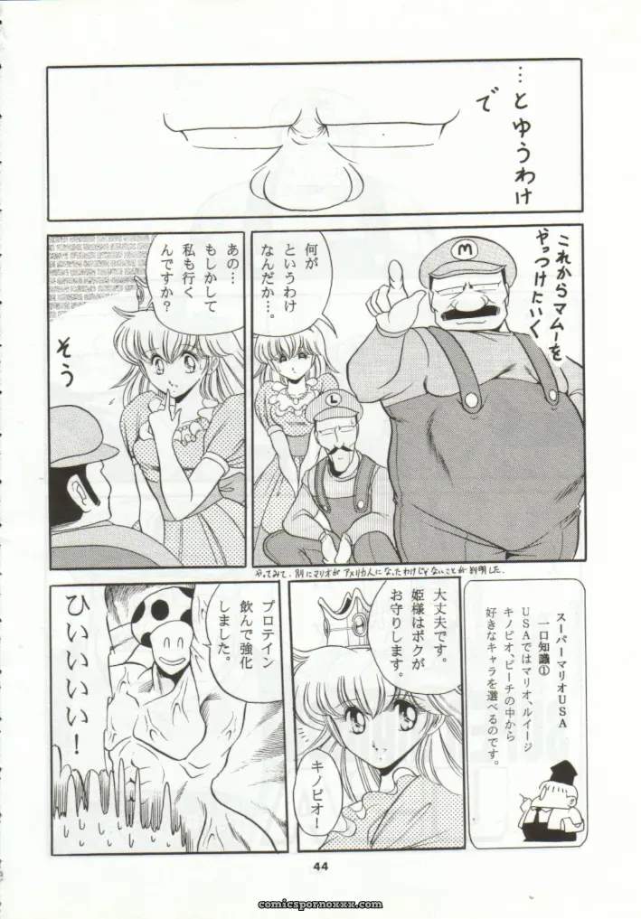 Super Mario Collection (CR15) – Circle Taihei-Tengoku - Page 41
