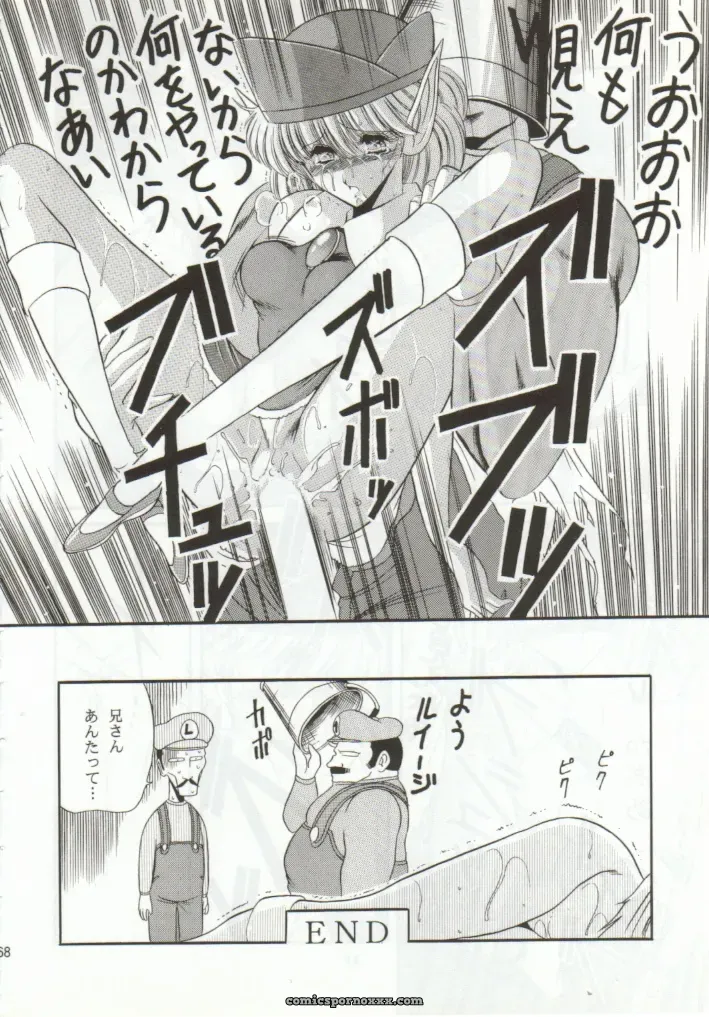Super Mario Collection (CR15) – Circle Taihei-Tengoku - Page 65