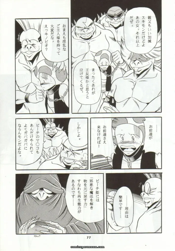 Super Mario Collection (CR15) – Circle Taihei-Tengoku - Page 73