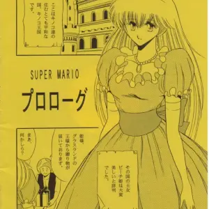 Super Mario Collection (CR15) - Circle Taihei-Tengoku - Page 3
