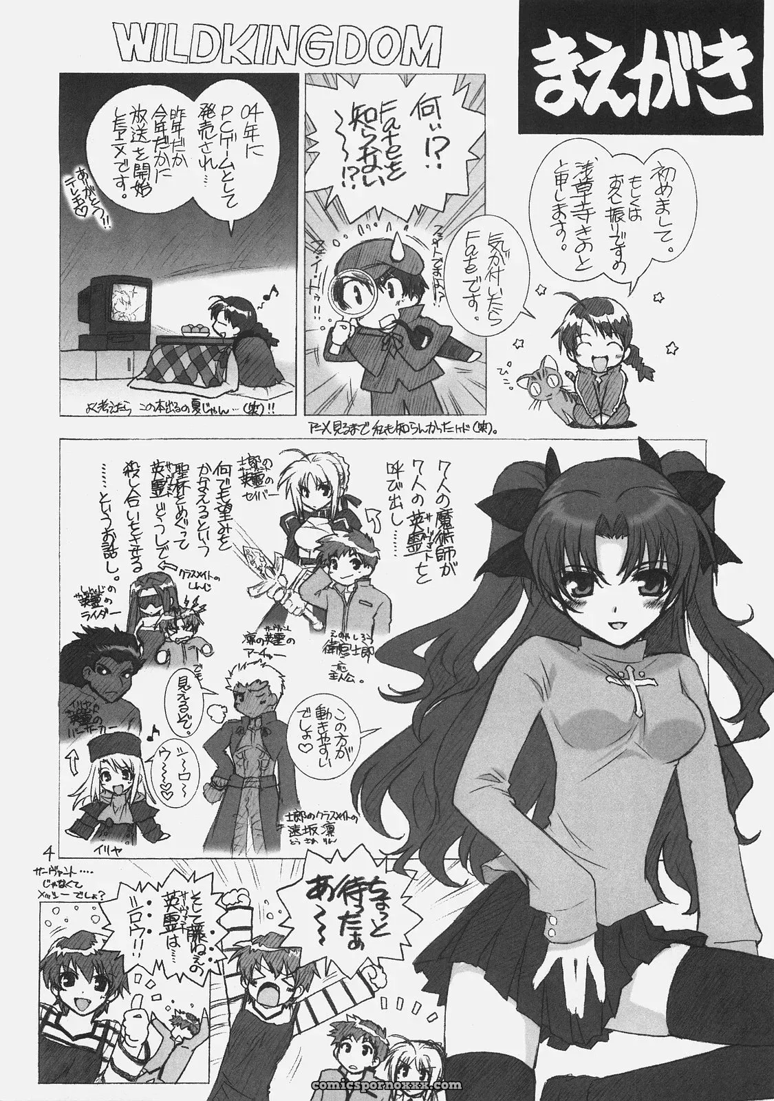 C70 WILD KINGDOM Sensouji Kinoto FATE MAGIC FateStayNight - Page 3