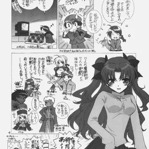 C70 WILD KINGDOM Sensouji Kinoto FATE MAGIC FateStayNight - Page 3