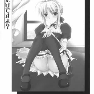 Fate/stay night - Kyou Dake Desuyo? (Udon-ya Fan Animation) - Page 2