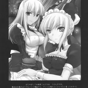 Fate/stay night - Kyou Dake Desuyo? (Udon-ya Fan Animation) - Page 3