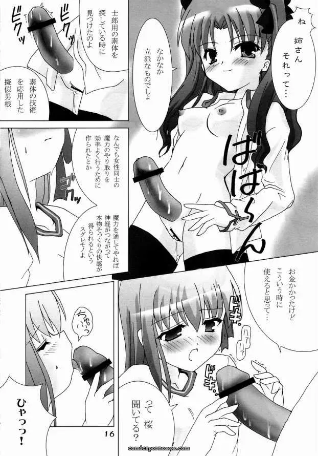 Fate/stay night Hex of Bloomer (Honyo no Uchi) C66 - Page 15