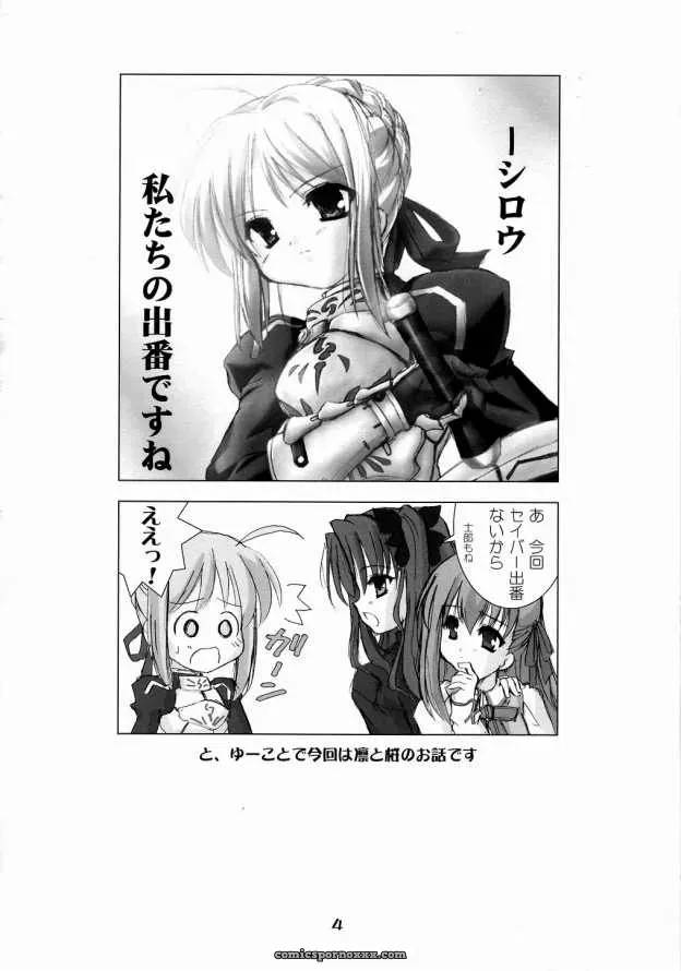 Fate/stay night Hex of Bloomer (Honyo no Uchi) C66 - Page 3