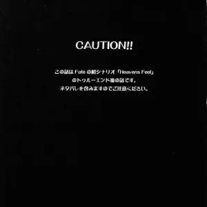 Fate/stay night Hex of Bloomer (Honyo no Uchi) C66 - Page 2