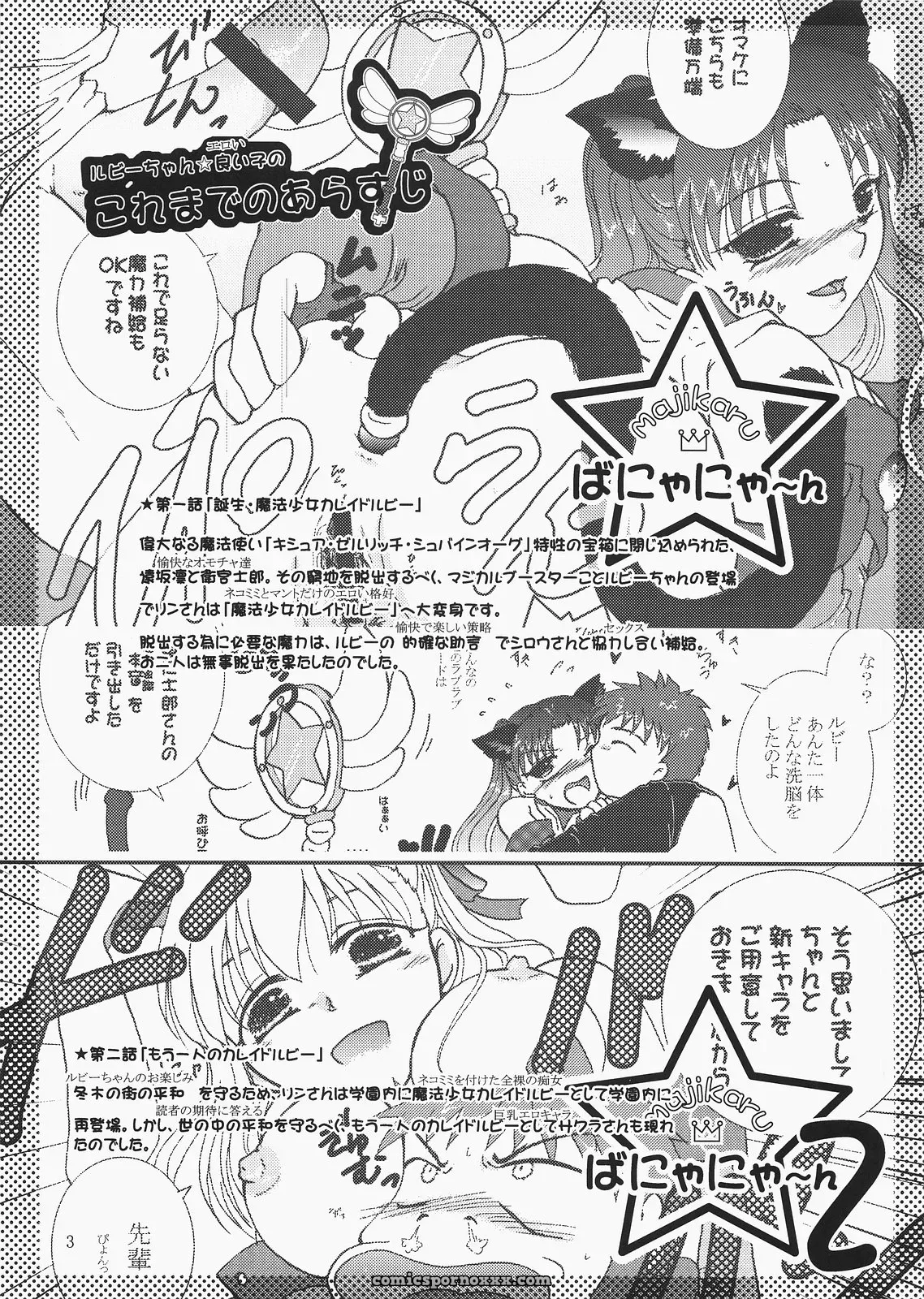 Takeda Sora Magical Bunny Nyan 4 Fate/hollow ataraxia Art - Page 2