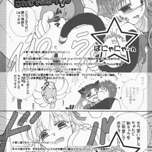 Takeda Sora Magical Bunny Nyan 4 Fate/hollow ataraxia Art - Page 2