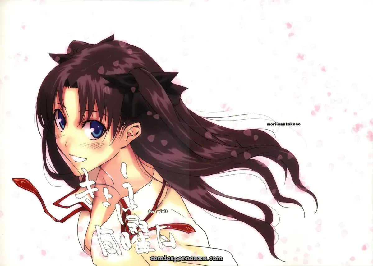 Moriisan Tokono (Morii Shizuki) Kyouha Nichiyoubi Fate/stay night - Page 1