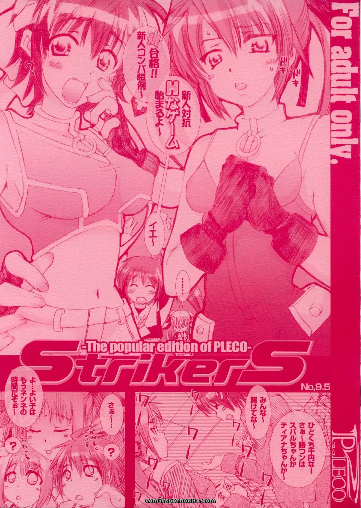 PLECO StrikerS (SC35) – Mahou Shoujo Lyrical Nanoha - Page 1