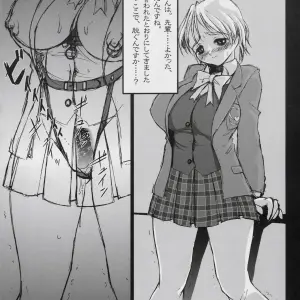Studio Vanguard Minazuki Juuzou Twilight Futari Ha Nikocure Precure - Page 7