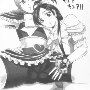 C66 T-Press ToWeR Futari De Cure Cure!! Futari wa Precure - Page 3