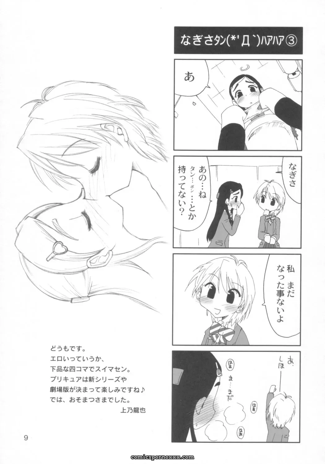 Marchen Box Various Two Toned Romps 2 Pretty Cure C67 - Page 10