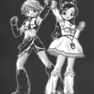 Marchen Box Various Two Toned Romps 2 Pretty Cure C67 - Page 2
