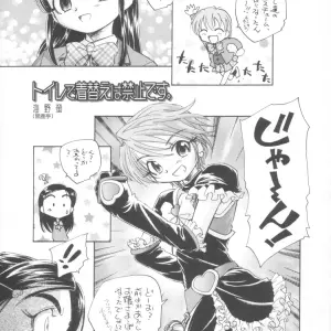 Marchen Box Various Two Toned Romps 2 Pretty Cure C67 - Page 4