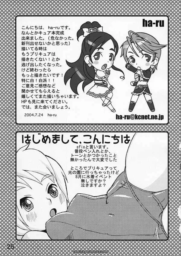 Medical Berry Haru SFIX Choco Marble Futari wa Precure Pretty Cure C66 - Page 24