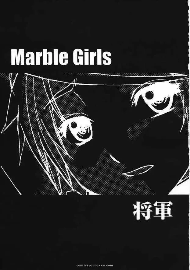 SC24 Choujikuu Yousai Katyusha Denki Shougun Marble Girls Futari wa Precure Pretty Cure - Page 3