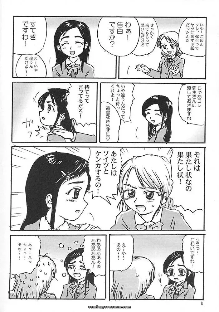 ProjectGS C65: Pre-PreCure Futari wa Precure by Mizuno Haruyoshi - Page 3