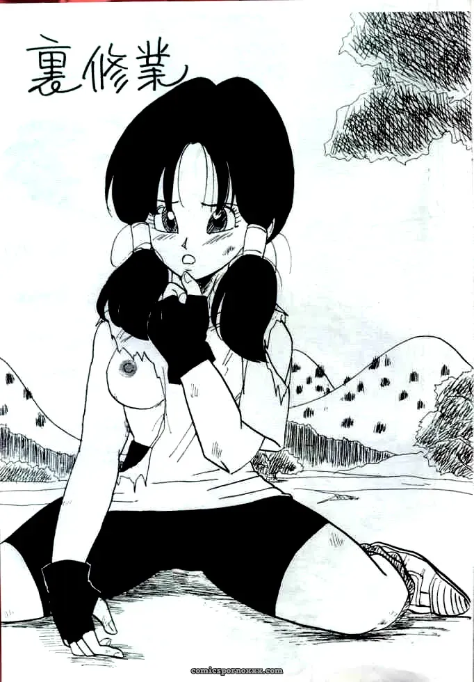 (C44) Chirigami Goya, Fusuma go Ten (Shoji Hariko) – Dragon Ball Z - Page 1