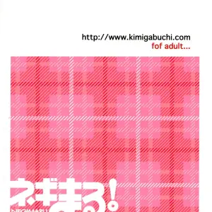Negimaru Studio Kimigabuchi Kimimaru C65 Fucking Mahou Sensei Negima - Page 2