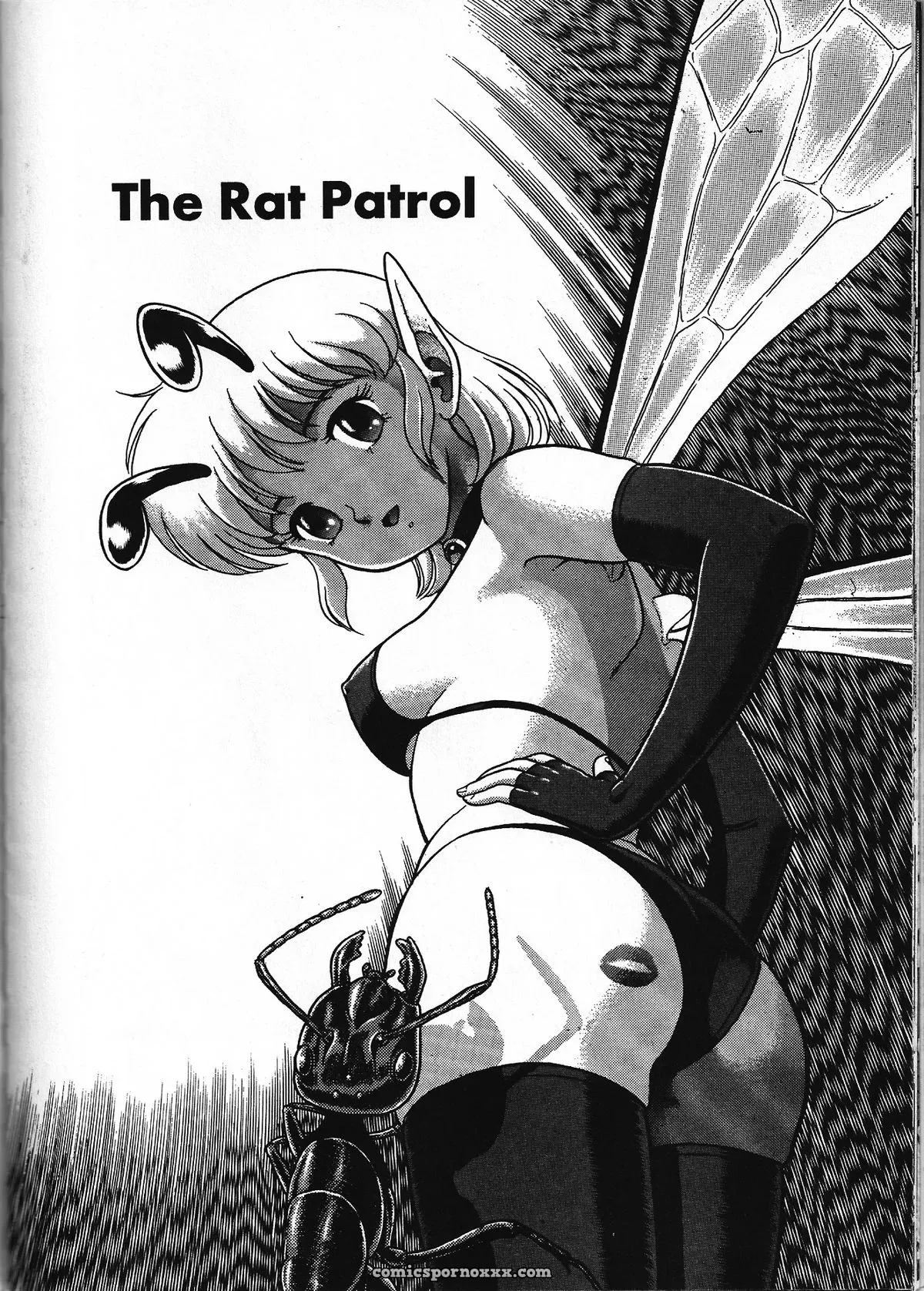 The New Bondage Fairies 02 Kondom Explicit - Page 3