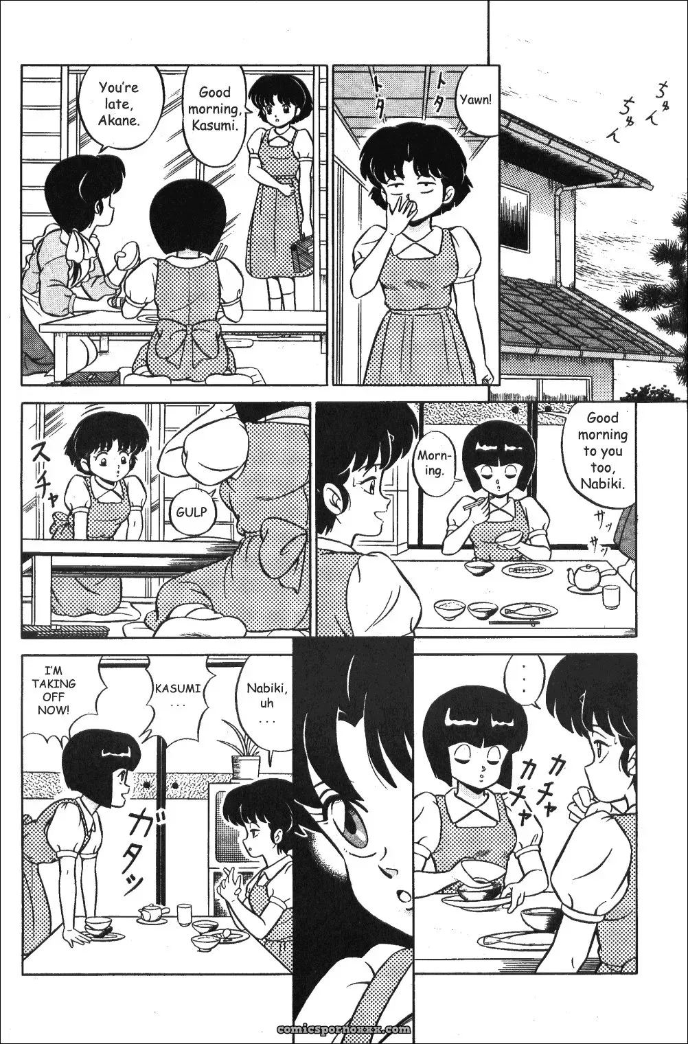 Ladies of Tendo Family Vol 1 Ranma 1/2 DarkAsh - Page 20