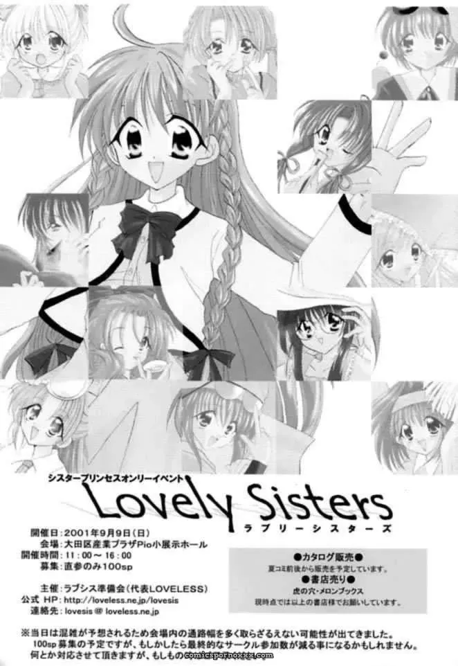 Chiibits 2 Chobits HMP Sawatari Yuuka LoveLess - Page 23