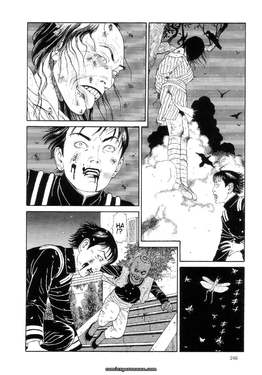 Laughing Vampire Vol. 2: Maruo Suehiro’s Paraiso - Page 247