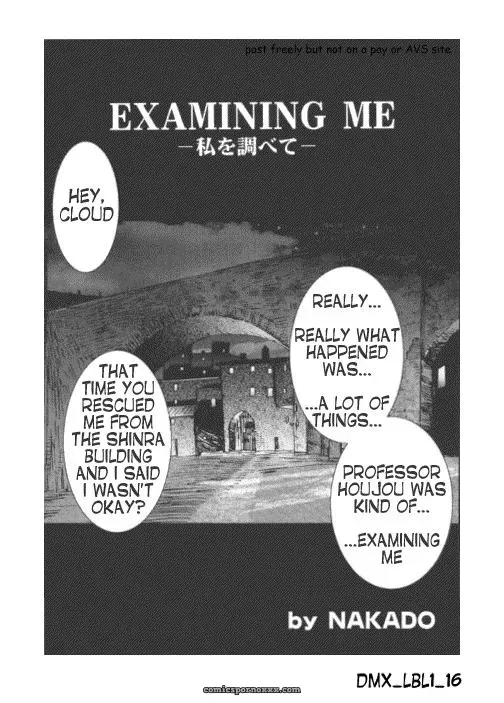 Tachibana Seven Limit Break Lv. 1 FFVII - Page 17