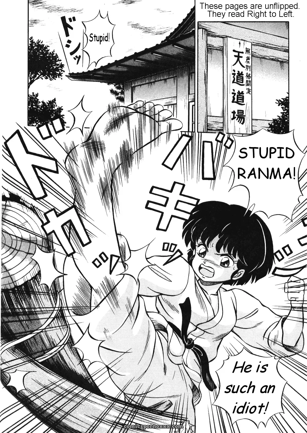 Stupid Akane by Takashi Taya Ranma 1/2 - Page 2