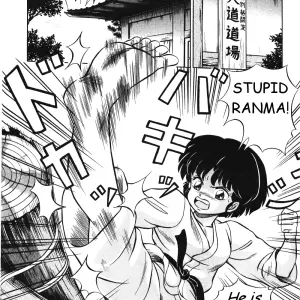 Stupid Akane by Takashi Taya Ranma 1/2 - Page 2