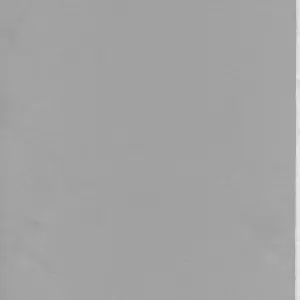 Yukemuri NyanNyan Jiken: Todd Oyamada's Bleach Fuckery - Page 2