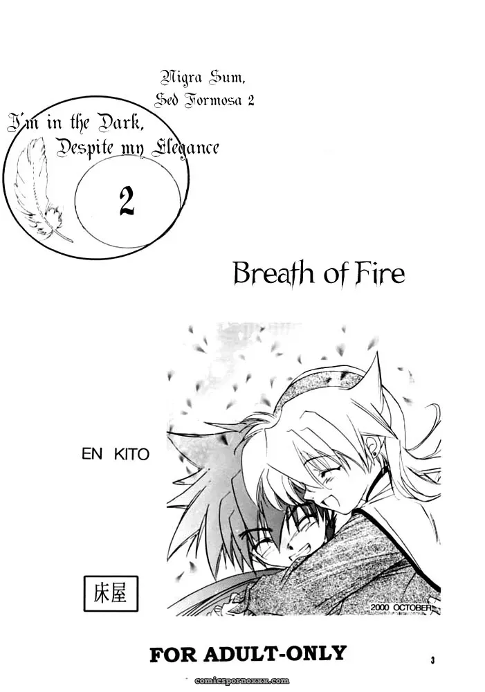 Breath of Fire IV: Waga wa Kurashi, Saredo Uruwashi 2 - Page 2