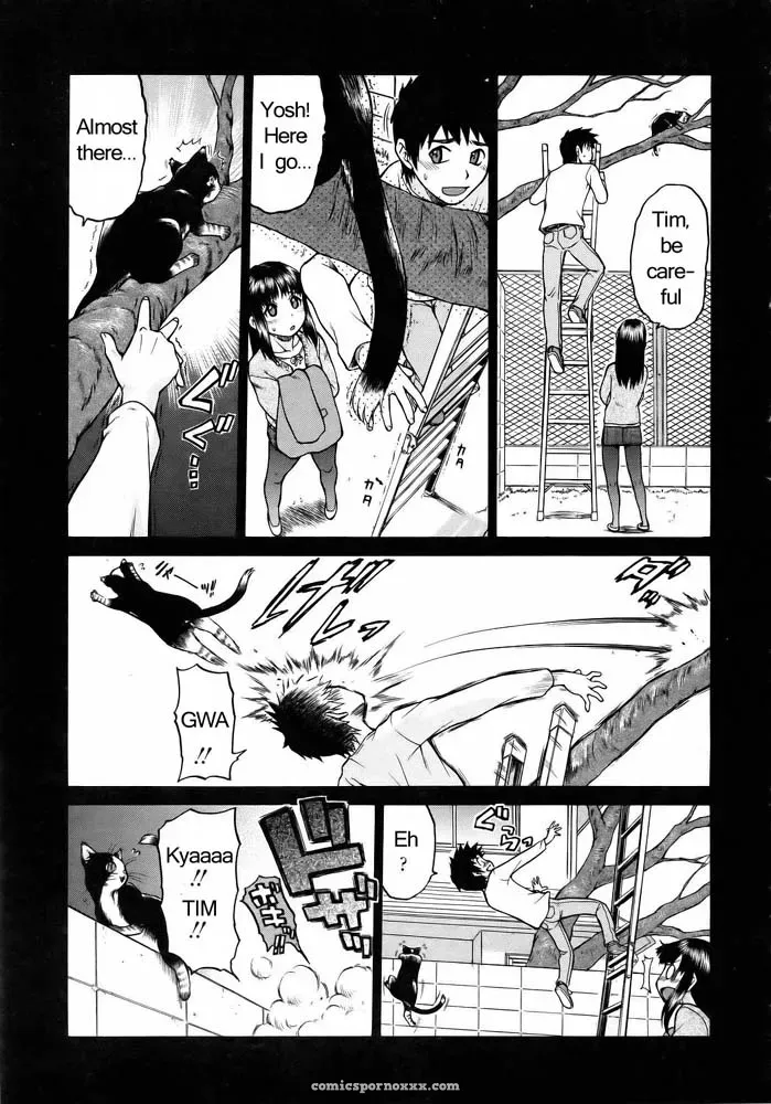 Miracle Kitty Punch – Fucking Awesome - Page 12
