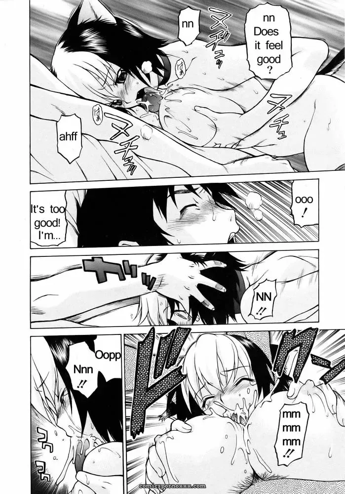 Miracle Kitty Punch – Fucking Awesome - Page 19