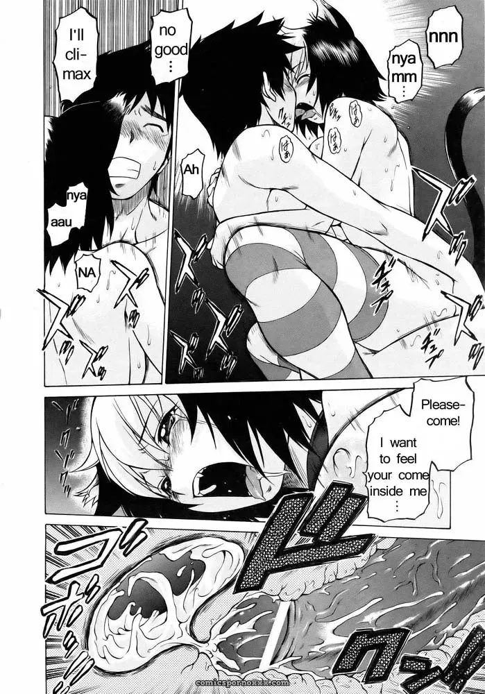 Miracle Kitty Punch – Fucking Awesome - Page 27