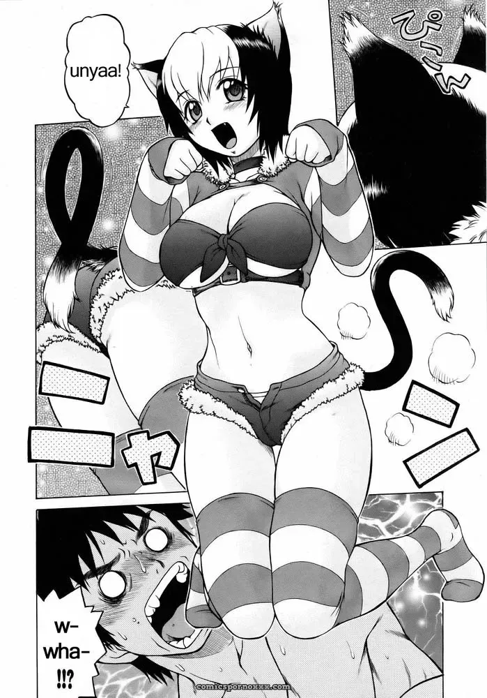 Miracle Kitty Punch – Fucking Awesome - Page 9