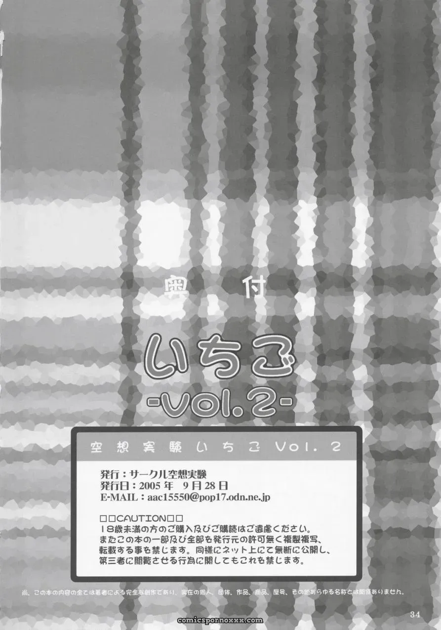 Circle Kuusou Zikken Munehito: Ichigo Vol.2 (100% Fucking Ichigo) - Page 33